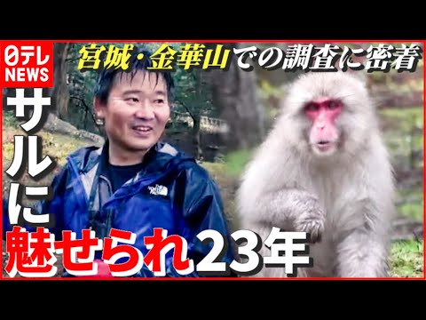 【密着】動物との共存のため…サルを研究し23年！ 険しい道のりの調査へ同行　宮城・石巻市の離島・金華山　NNNセレクション