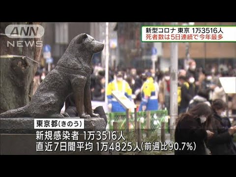 新型コロナ　東京都の死者数今年最多の27人(2022年2月20日)