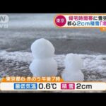 都心2cm積雪「滑った」“帰宅時間帯”に雪強まる(2022年2月11日)