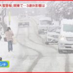 【大雪】3連休に影響は？ 車の事故も　東京