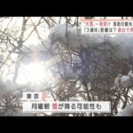 “大雪”一夜明け混乱相次ぐ　3連休の観光地にも影響(2022年2月11日)