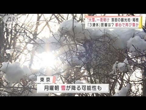 “大雪”一夜明け混乱相次ぐ　3連休の観光地にも影響(2022年2月11日)