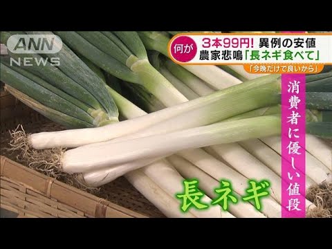 “長ネギ”異例の安値　「3本99円」農家が悲鳴投稿・・・価格下落の原因は？(2022年2月1日)