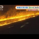 利根川河川敷　長さ3kmわたり火災・・・懸命な消火活動(2022年2月24日)