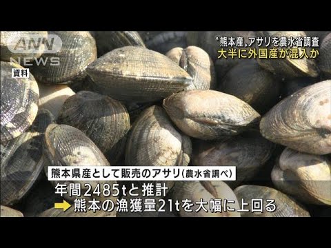 “熊本産”アサリの大半に外国産混入か　農林水産省(2022年2月1日)