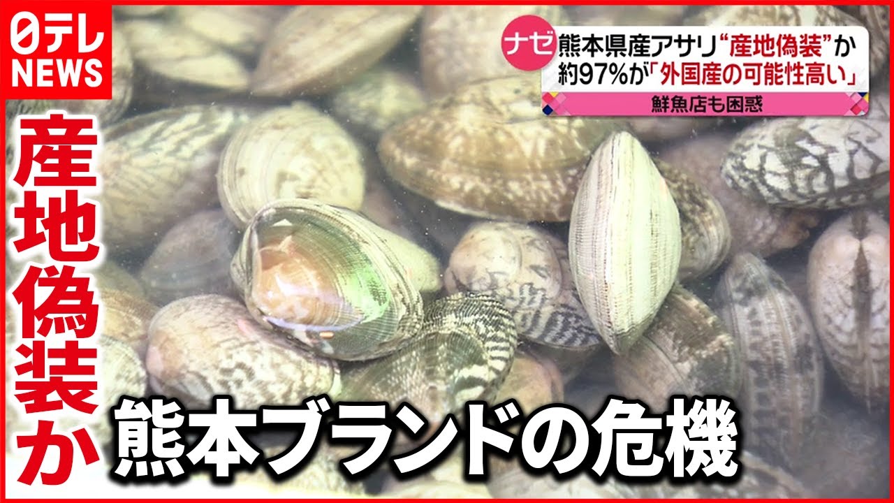 【アサリ】”９７%が外国産”の可能性… 熊本県産アサリ”産地偽装”か