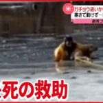 【救出】犬が凍った池に… 救急隊員が命綱で救助 アメリカ