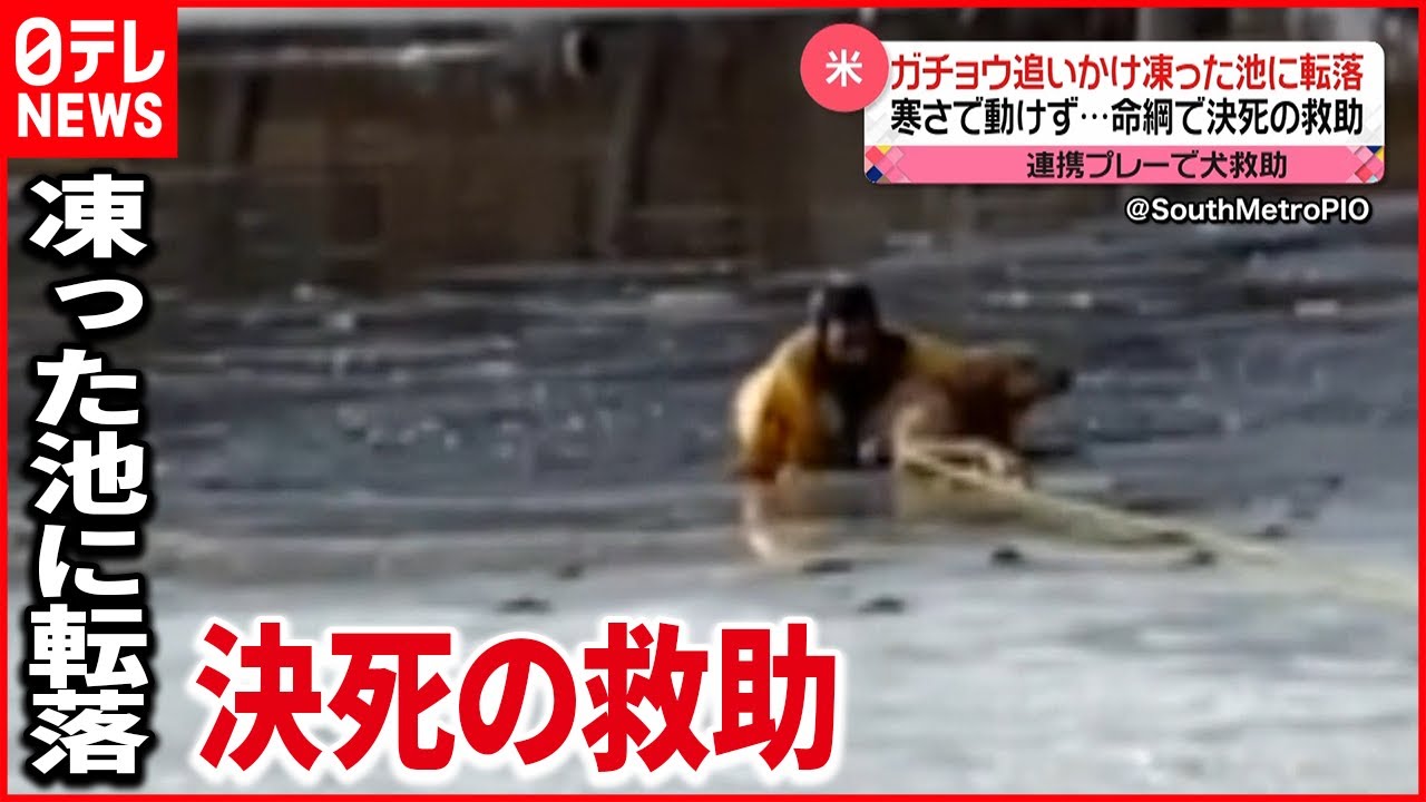 【救出】犬が凍った池に… 救急隊員が命綱で救助 アメリカ