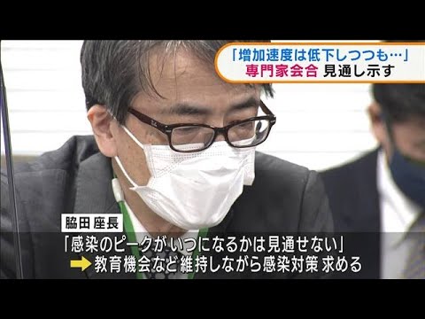 厚労省　専門家会合「増加速度は鈍化しつつも・・・」(2022年2月3日)