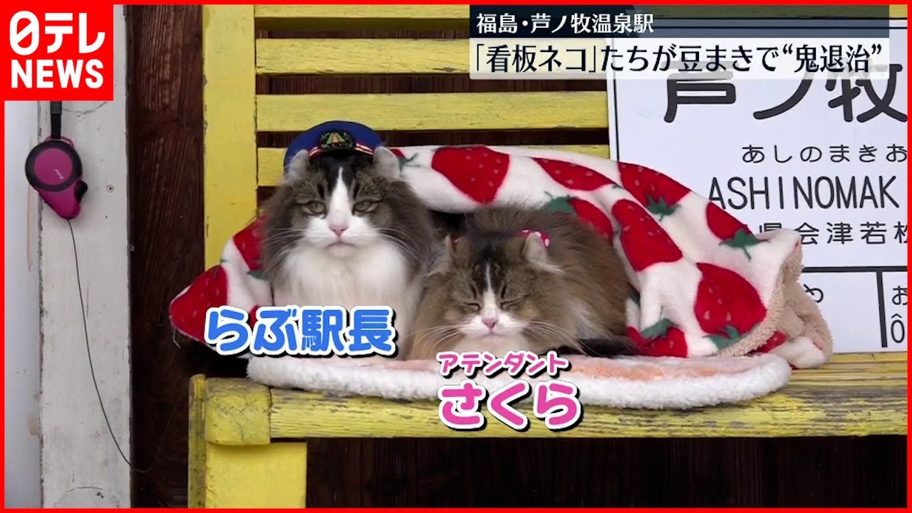【猫駅長】 節分の日に“鬼退治”　芦ノ牧温泉駅
