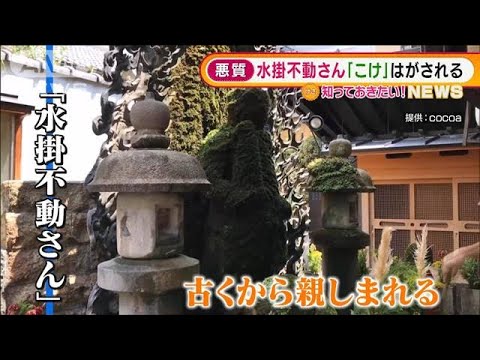 大阪・法善寺「水掛不動さん」“こけ”はがされる・・・(2022年2月4日)