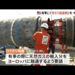 「“ウクライナ有事”の際は欧州に天然ガス融通を」米が日本に要請