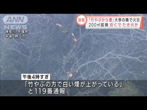 「竹やぶから煙」雑木林が焼ける　たき火燃え移りか(2022年2月4日)