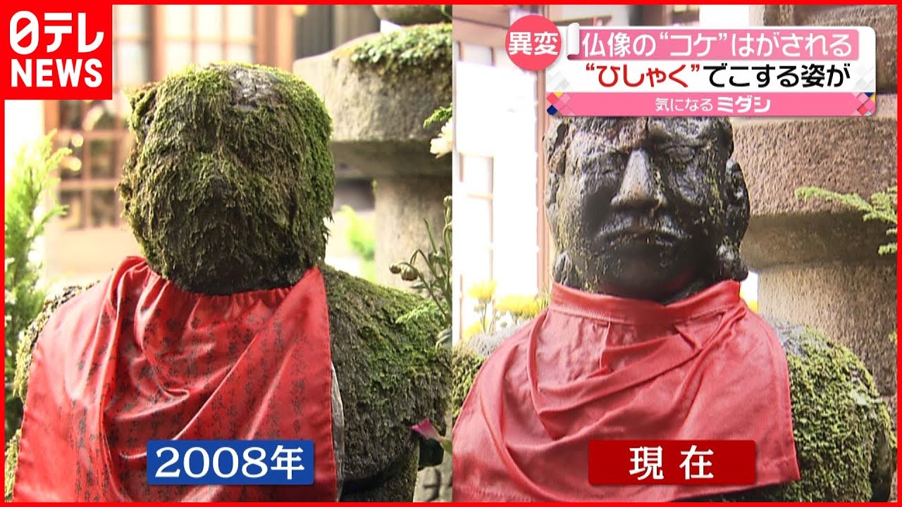 【異変】仏像の“コケ”はがされる「こんな顔をされているんですね」 大阪