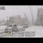 近畿北部大雪警戒　琵琶湖で「しぶき氷」も