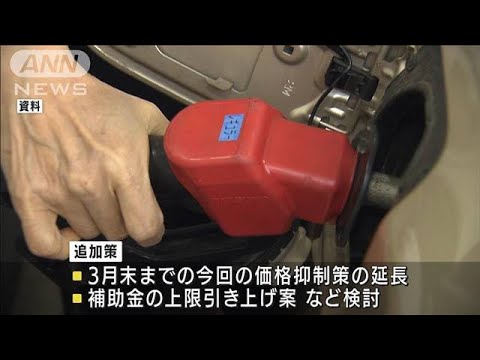 長引くガソリン価格高騰　岸田総理”追加策”を指示(2022年2月8日)