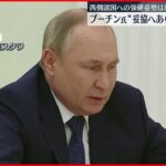 【会談】“妥協へあらゆること行う”　プーチン大統領とマクロン大統領が会談