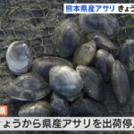 熊本県産アサリ きょうから出荷停止 産地偽装受け