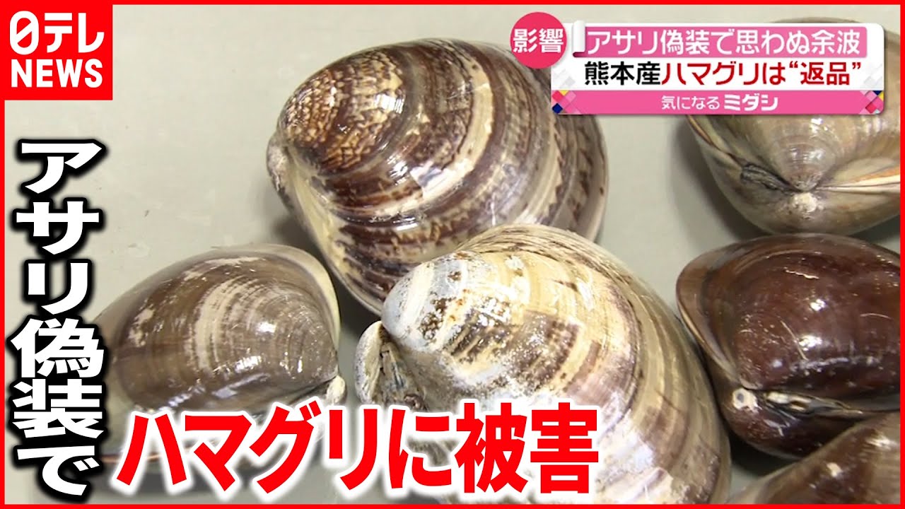 【アサリ産地偽装】熊本産きょうから出荷停止に ハマグリにも影響