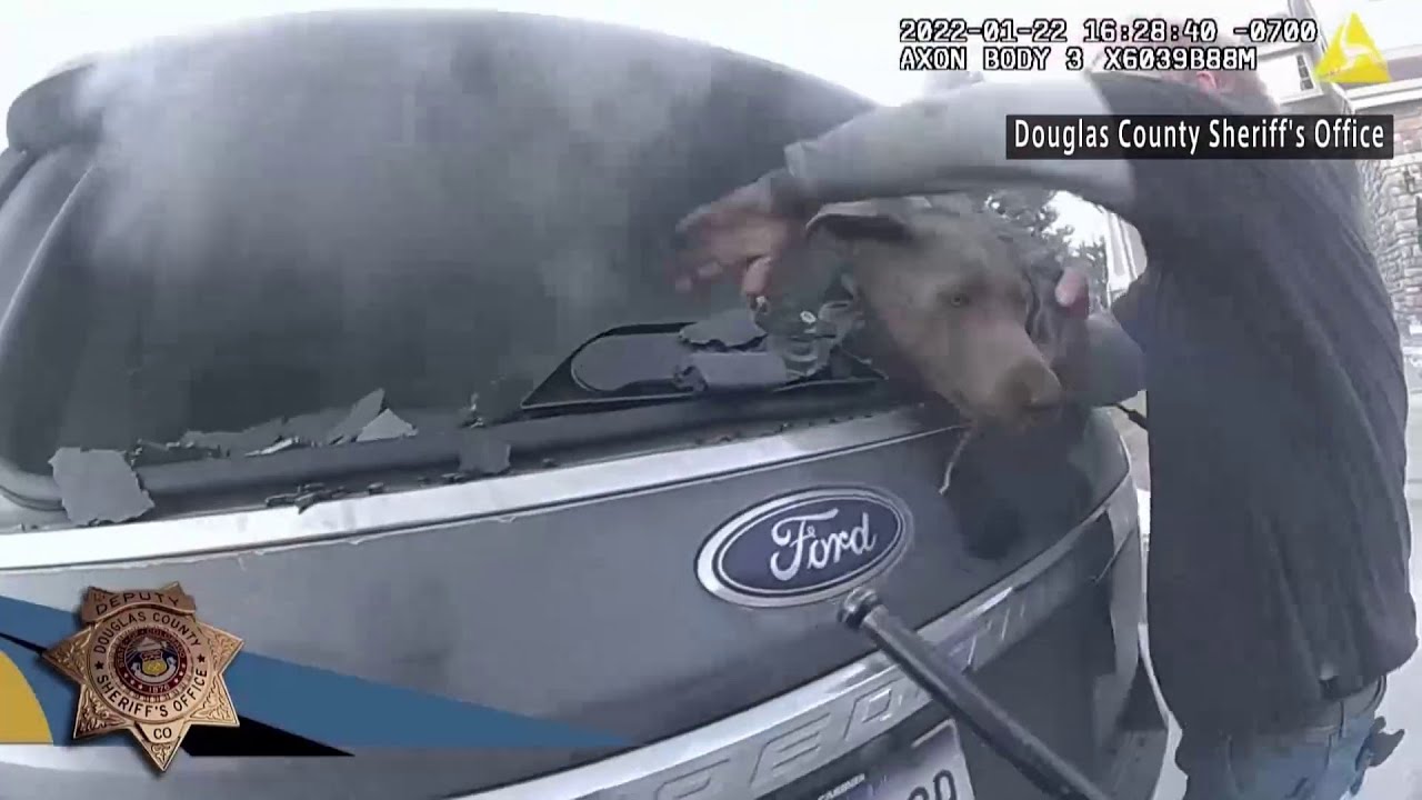 危機一髪 アメリカで燃える車から救出の瞬間
