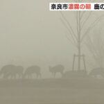 鹿も五重塔も霞み幻想的な朝…奈良公園は濃霧により“水墨画のような世界”に（2022年2月9日）