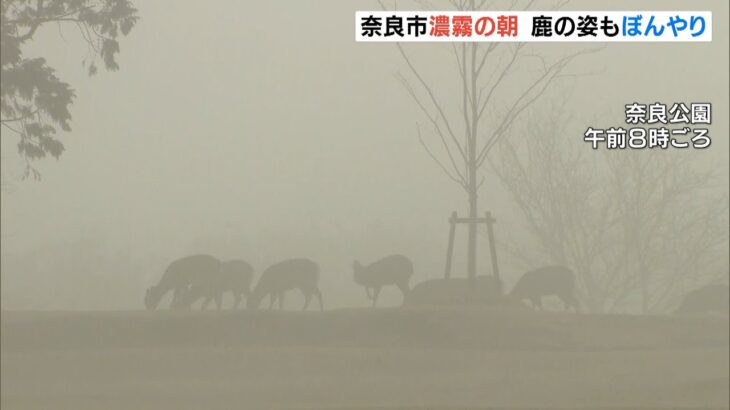鹿も五重塔も霞み幻想的な朝…奈良公園は濃霧により“水墨画のような世界”に（2022年2月9日）