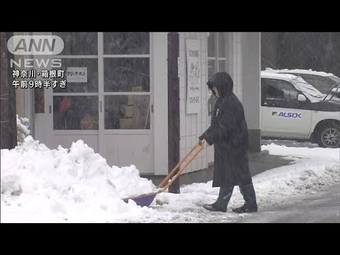 関東甲信から東海で大雪の恐れ　都心に大雪注意報(2022年2月10日)