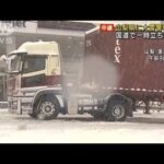 山梨県に大雪警報　国道でトラック一時立ち往生も(2022年2月10日)