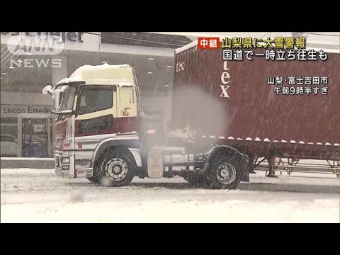 山梨県に大雪警報　国道でトラック一時立ち往生も(2022年2月10日)