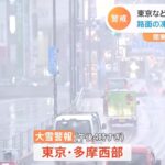 東京でも明日にかけ大雪のおそれ 交通に影響 東京２３区５センチ予想