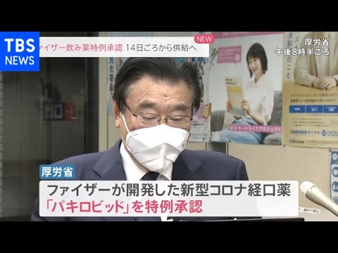 ファイザーのコロナ経口薬を特例承認 厚労相