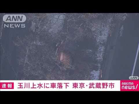 【速報】路面凍結か玉川上水に車落下　男性が軽傷　東京・武蔵野市(2022年2月11日)