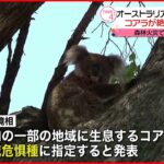 【コアラ】絶滅危惧種に指定…一部地域で生息数が減少　オーストラリア