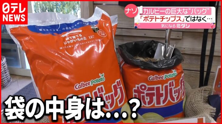 【超ビッグサイズ】ナゾ…“ポテトチップス” 袋の中身は？　カルビー