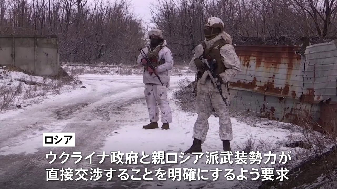 ウクライナ紛争めぐる協議 ロシア「ウクライナ政府と親ロシア武装勢力の直接交渉」求める
