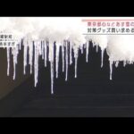 関東甲信でまた警報級の大雪か　対策グッズ買い求めも(2022年2月12日)