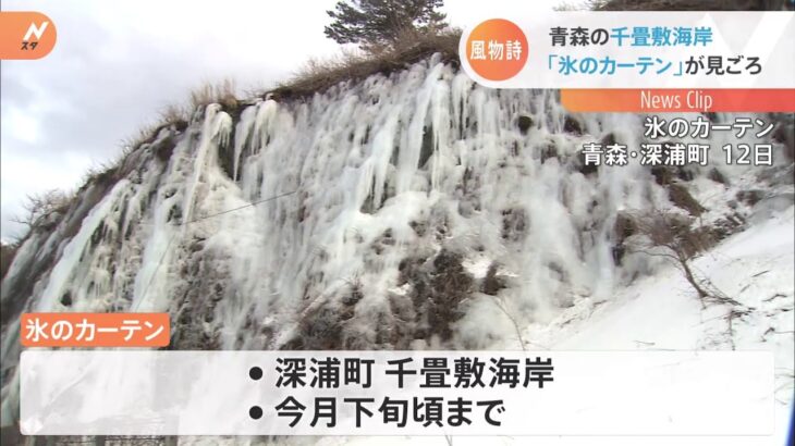 「氷のカーテン」が見ごろ 青森の千畳敷海岸