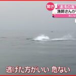 【クジラ出現】漁師が撮影「衝撃的だった」　熊本・有明海
