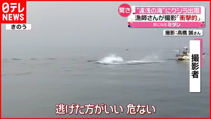 【クジラ出現】漁師が撮影「衝撃的だった」　熊本・有明海