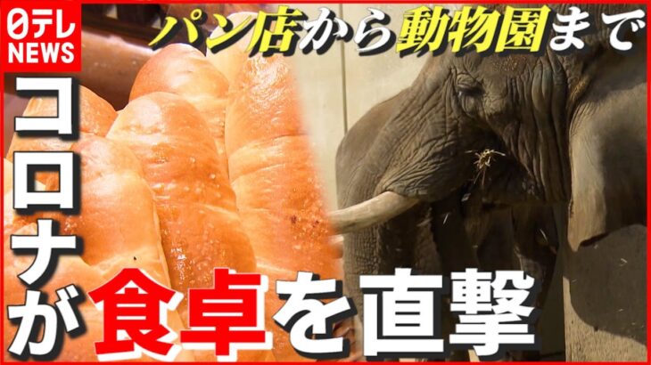 【原料不足】ゾウも困る事態…パン店から動物園にまで“新型コロナ”の影響　愛媛　NNNセレクション