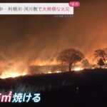 埼玉・利根川の河川敷で火災 通報から約6時間燃え続け60万平方メートル焼ける