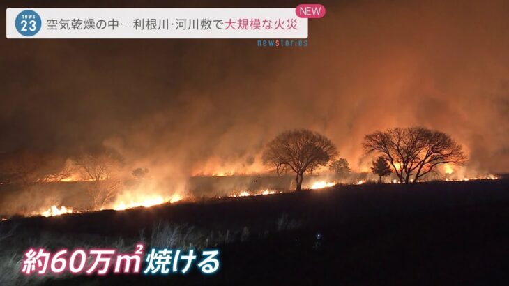 埼玉・利根川の河川敷で火災 通報から約6時間燃え続け60万平方メートル焼ける