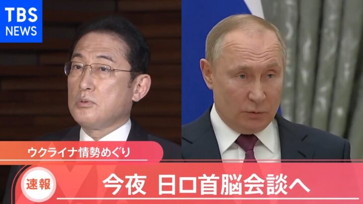岸田首相とプーチン大統領が電話会談 今夜 ウクライナ情勢を協議