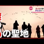 【大自然】日本で“ここだけ”の景色…渡り鳥の聖地「伊豆沼」の一日　宮城　NNNセレクション