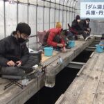 「ダム湖」でワカサギ釣り…暖房設置のドーム内の釣り場で楽しむ　兵庫・丹波篠山市（2022年2月19日）