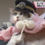 スーパー猫の日　和歌山で猫が“宮司”に　２月２２日は「ニャンニャンニャン」の語呂合わせ