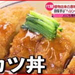 【代替食品】串カツ・焼き鳥・カツ丼・スイーツまで⁉ 広がる代替食品