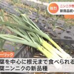 コロナ禍でニンニク活況 生産現場でも新たな動き「ハーリック」って？