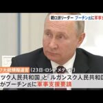 プーチン大統領に軍事支援を要請 親ロシア派幹部 派兵本格化へ