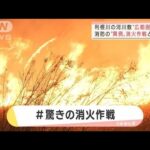 利根川河川敷の大規模火災を鎮めた驚きの消火作戦(2022年2月24日)